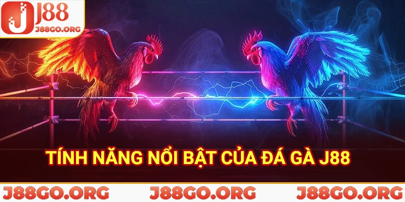 Tính năng nổi bật của đá gà j88